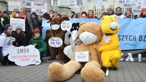 Uchwała antysmogowa przyjęta. W tle protest "pluszaków" w maskach