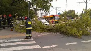 Drzewo na "małej Grochowskiej"