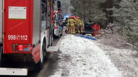 Auto uderzyło w drzewo. Zakleszczonego kierowcę uwolnili strażacy