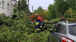 Drzewo spadły na samochody