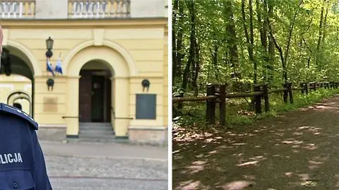 "W naszej ocenie w Lesie Kabackim jest bezpiecznie"