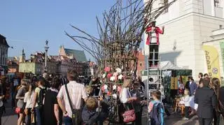 Drzewo Wolności na Placu Zamkowym