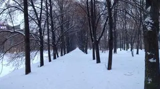 W czwartek rano będzie padał deszcz ze śniegiem