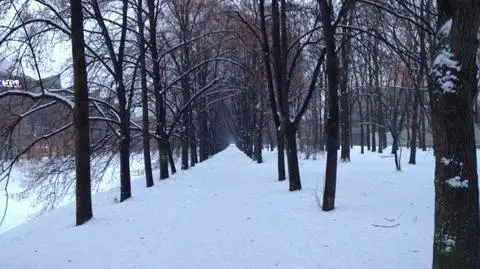 Pogoda dla Warszawy: mroźna noc ze śniegiem