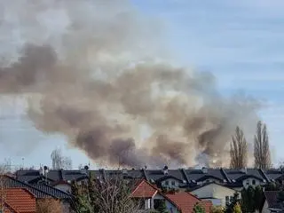 Pożar traw przy Wale Miedzeszyńskim