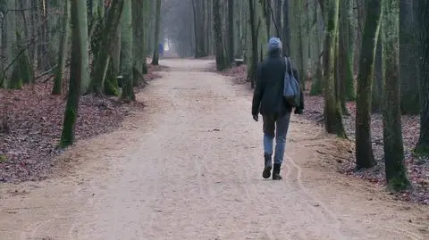 Jaka pogoda na Wszystkich Świętych i Zaduszki? Wstępna prognoza