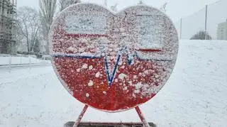 Atak zimy w Warszawie