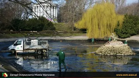  Odświeżają meble, kąpią rzeźby. "Stokrotki i prymulki przed Wielkanocą"