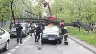 Drzewo runęło na samochody