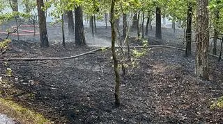 Pożar lasu pod Górą Kalwarią