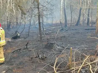 Ogień szedł prosto na zabudowania w Kajetanach