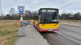 Na Dudziarską wciąż kursuje linia 245