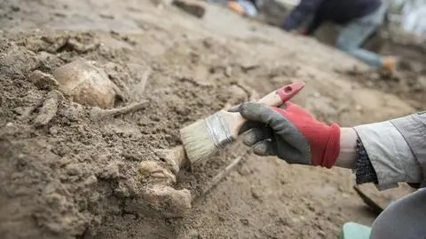 Odkryto groby i szczątki 80 osób. Prace archeologiczne na Cytadeli