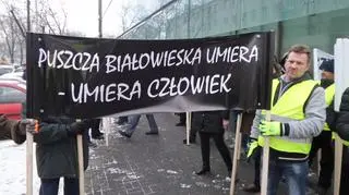 "Puszcza Białowieska umiera - umiera człowiek"