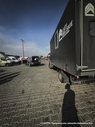 Biała lisica schroniła się na parkingu firmy kurierskiej 