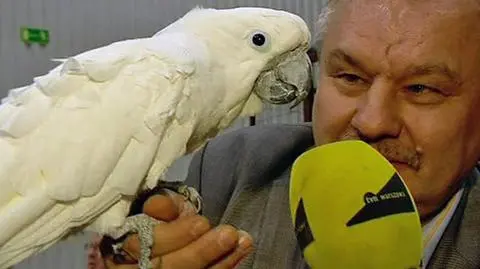 Kurki ozdobne i śpiewające papugi w Centrum EXPO XXI
