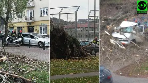 Drzewo spadło na auto z gazem. "Kierowca uciekł tuż przed uderzeniem"