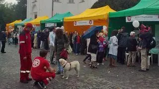 fot. Tomasz Zieliński/tvnwarszawa.pl