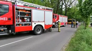 Potrącenie rowerzystki w Falentach