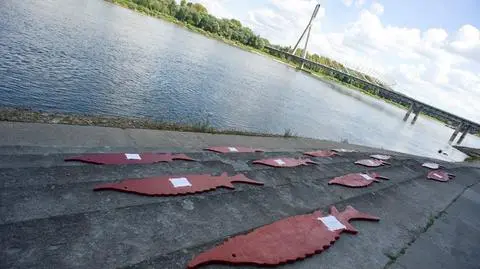 Umeblowali brzeg Wisły. Teraz cztery dni atrakcji