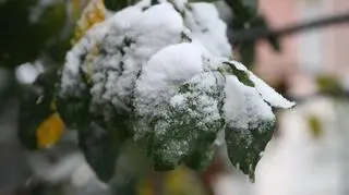 Pierwszy śnieg w Warszawie