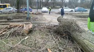 Wiatr zerwał trakcję 