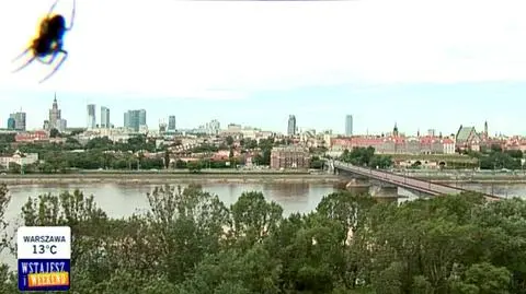 "Specjalny pająk na Euro 2012"