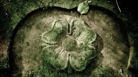Nekropolie niszczeją w krzakach