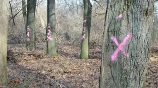 Protest przy Wybrzeżu Helskim