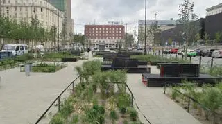 Nowy zielony Plac Powstańców Warszawy