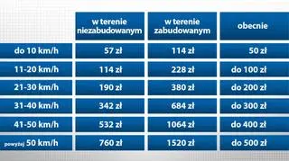 Ile mogą wynosić mandaty po zmianach, nad którymi pracuje parlament? 