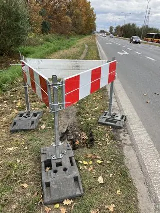 Nora bobra przy ulicy Radzymińskiej