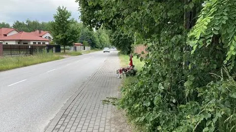 Po tragicznym wypadku aktywiści apelowali o poszerzenie chodnika. Urzędnicy: wystarczy przycięcie gałęzi