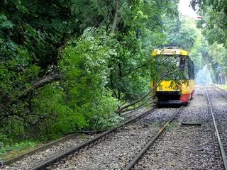 Gałęzie zablokowały przejazd dla tramwajów 