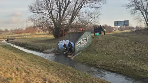 Tajemnicza substancja w potoku. "Tłusta plama, zapach ropy"