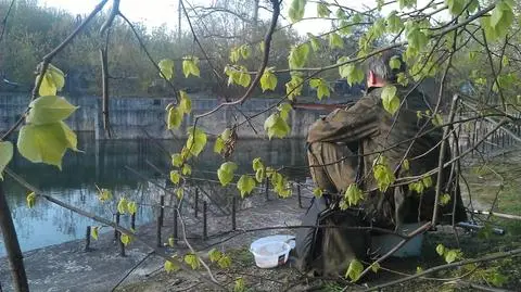 Karasie biorą w zalanych fundamentach ? 