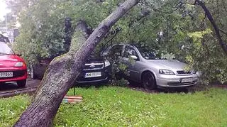 fot. Tomasz Zieliński/tvnwarszawa.pl