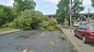 Drzewo runęło na Wisłostradzie