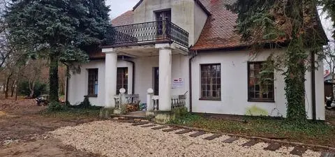 MEN "weszło" do 10 willi plus. "Sporo pieniędzy wróci"