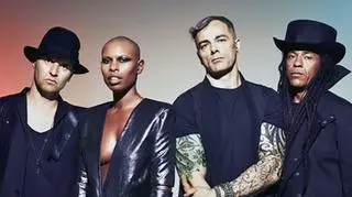 W tym roku wystąpią m. in. Skunk Anansie
fot. materiały organizatora