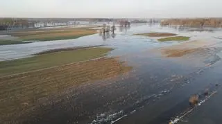 Utrzymuje się wysoki poziom rzeki Bug