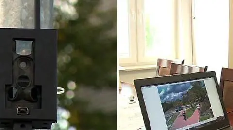Fotopułapki złapią wandali. Burmistrz: Dostaję zdjęcie na telefon