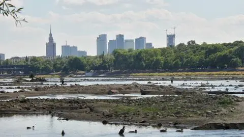 Wody ubywa. Wisła jak górski potok