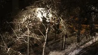 Śnieżna noc w stolicy