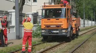 Konar spadł na trakcję