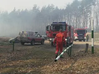 Pożar lasu w Kobyłce