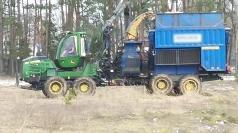 Wycinka drzew w pobliżu miejscowości Kaliska