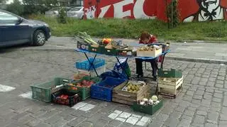 fot. Dawid Krysztofiński/tvnwarszawa.pl