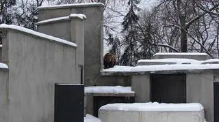 fot. Anna Kucman/warszawa@tvn.pl