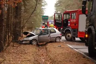 Kierowca peugeota uderzył w drzewo